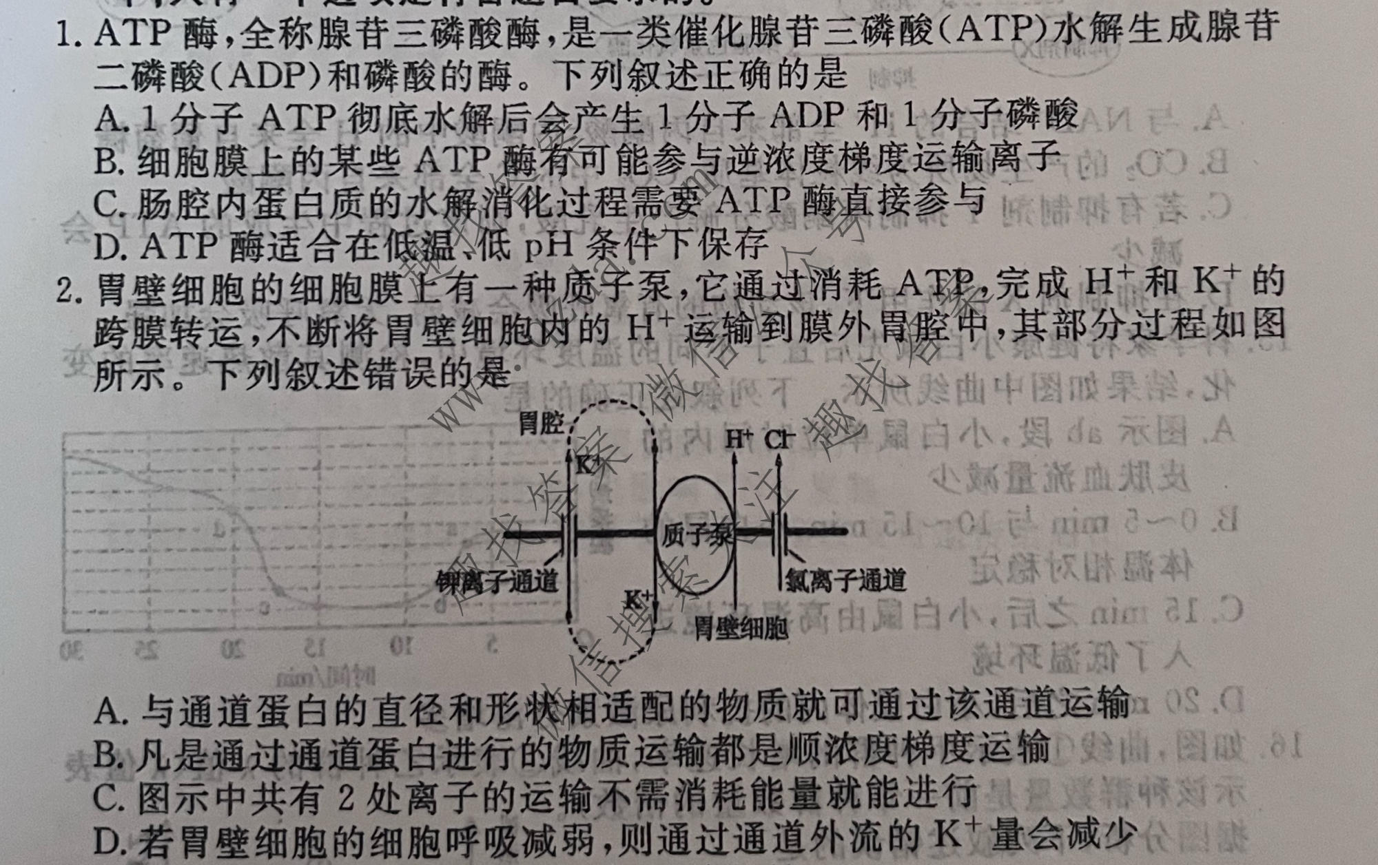 衡水金卷先享题 2026年高考压轴冲刺(二)2生物(S)试题