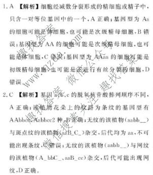 点石联考 2026届高一年级6月练习卷生物答案