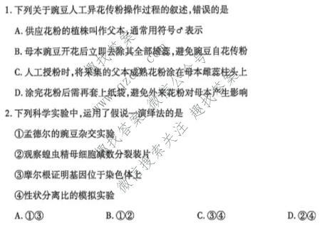 天一大联考 河南省2025-2026学年下学期高一6月联考(HN202606)生物试题