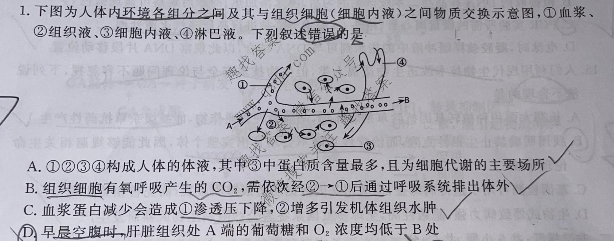 安徽鼎尖教育 2026届高二7月期末考试生物A试题