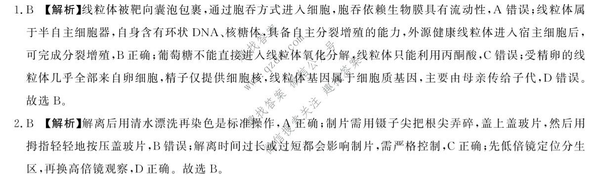 青桐鸣 2026-2027学年上学期高三年级学情调研生物答案