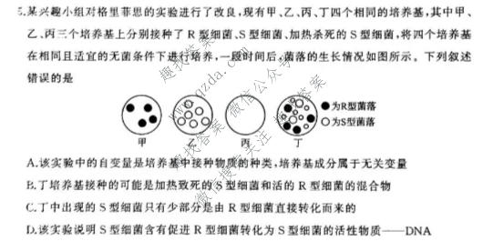百师联盟 河北省2026-2027学年高二9月联考生物试题