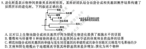 点石联考 2027届高二秋季入学学情检测生物试题