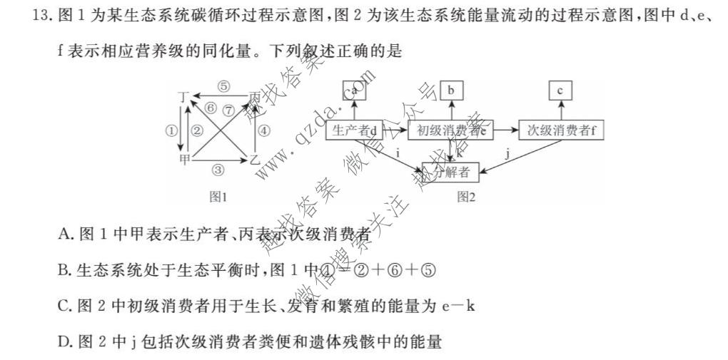 2026-2027学年上学期福建9月高三联考(FJ)生物试题