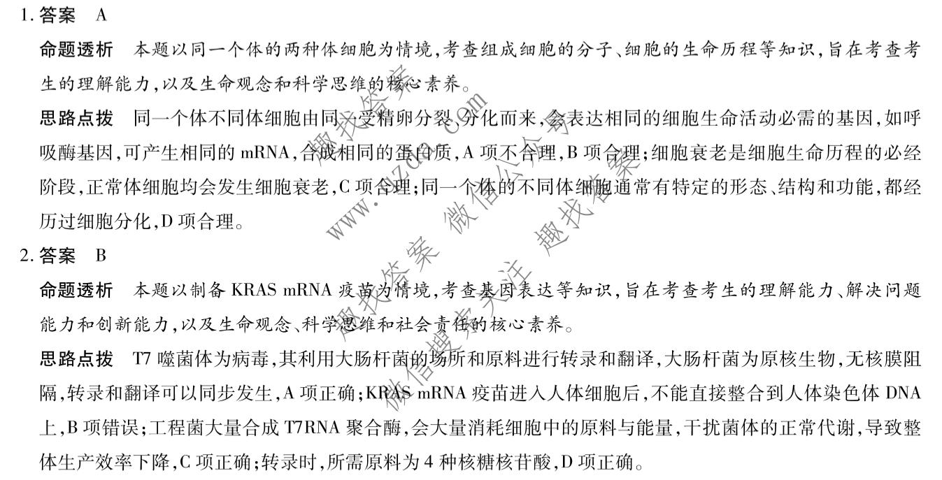 天一大联考 湖南省2026-2027学年高三9月联考(HUN202609)生物答案