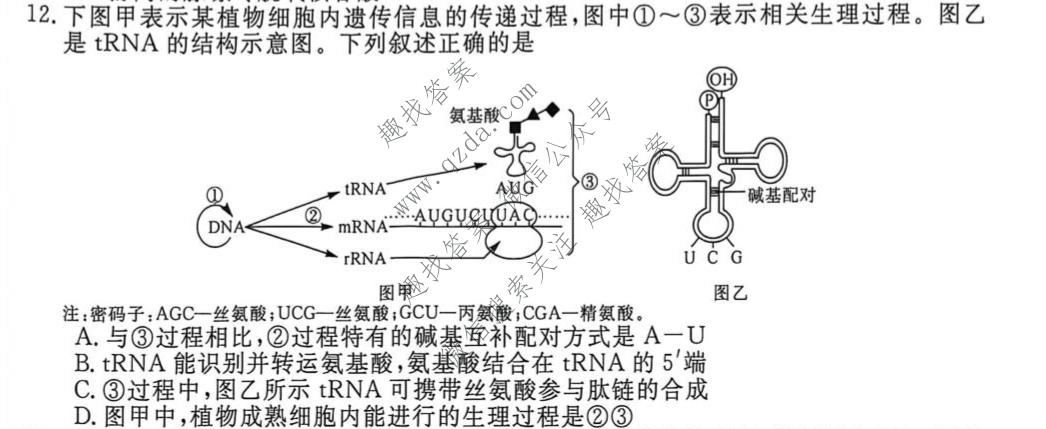 河南省新未来2026-2027学年高二年级9月测评生物试题