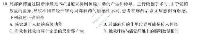 四川省大数据智学领航2026年9月高三联考(SC)生物试题