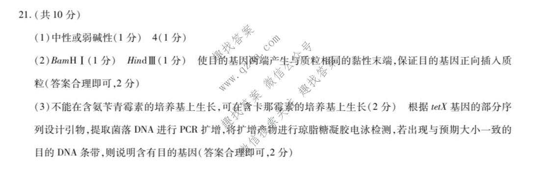 天一大联考 山西省2026年高三年级9月联考(★★★202609)生物答案