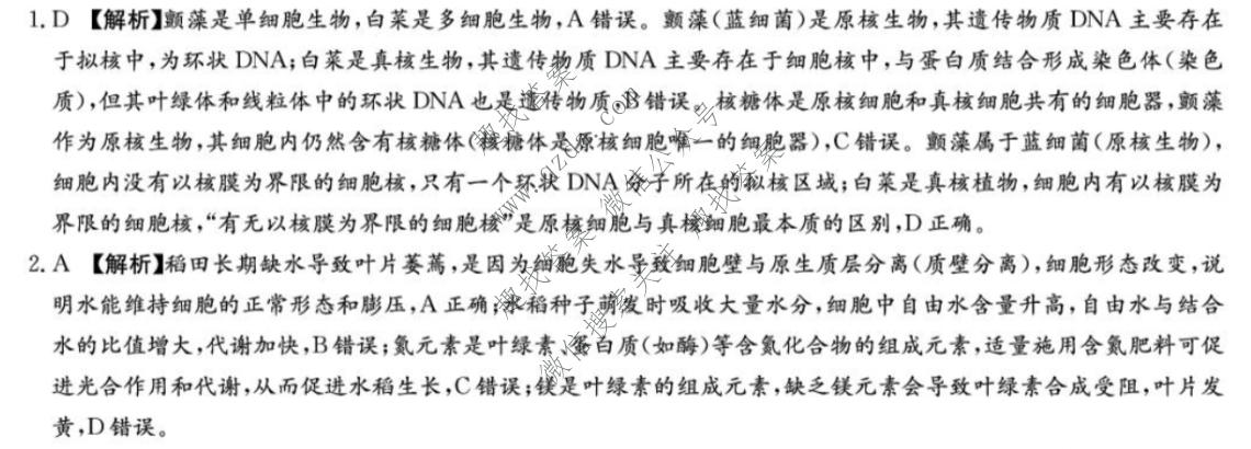 炎徳英才名校联合体2027届高二入学检测(26秋L)生物答案