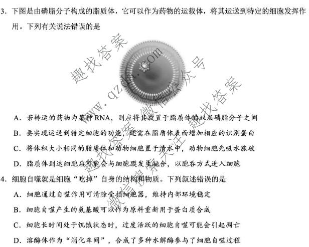 创新金典 2026-2027学年学月知识滚动诊断定时训练(一)生物试题
