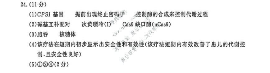 南京市2027届高三年级学情调研(2026.09)生物答案