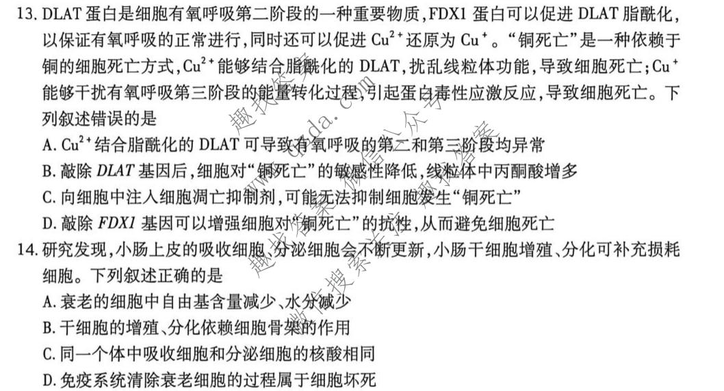 天一大联考 河南省2026-2027学年高三9月联考(HN2026092)生物试题