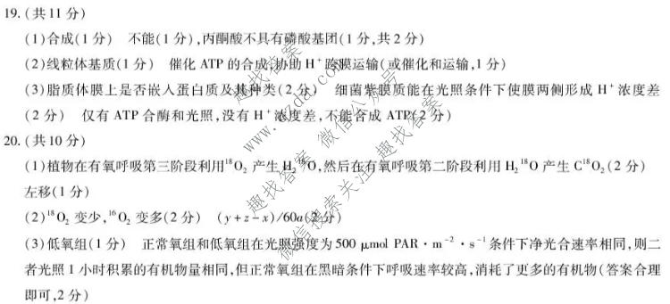 天一大联考 河南省2026-2027学年高三9月联考(HN2026092)生物答案
