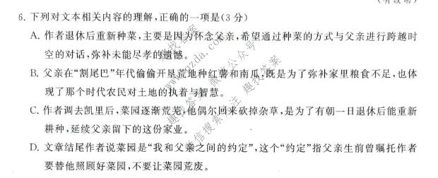 河南省2027届高三年级10月检测训练(T8联考)语文试题