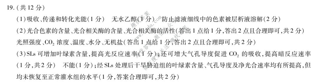 天一大联考 2026年高三年级10月联考(★★★202610)生物答案