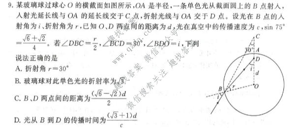 河南省2027届高三年级10月检测训练(T8联考)物理试题