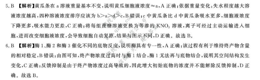 青桐鸣 2026-2027学年高三年级过程性作业评价(10月)生物答案