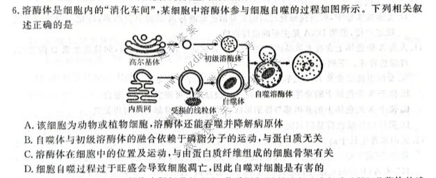 河南省2026-2027学年高三上学期10月联考(HN)生物试题