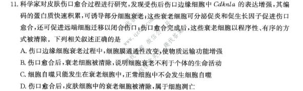 炎徳英才大联考 2027届高三检测(二)(27Y)生物试题