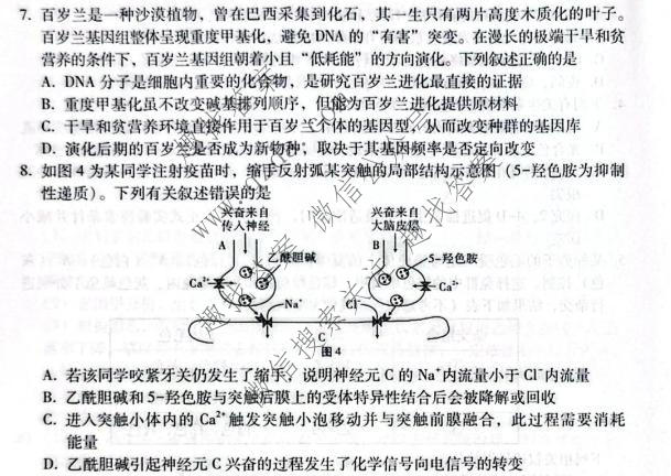 云南省2026-2027学年高三年级上学期10月联考(黑黑白黑黑白黑黑黑白白)生物试题
