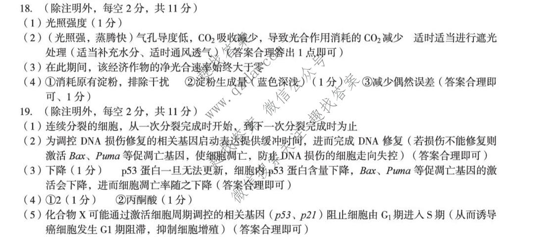 A10联盟 2027届高三上学期10月学情检测生物答案