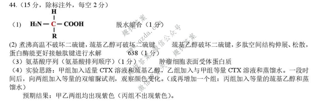 四川省树德中学高2026级高一上学期10月阶段性测试生物答案