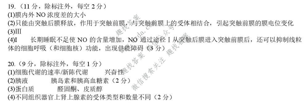 四川省树德中学高2025级高二上学期10月阶段性测试生物答案