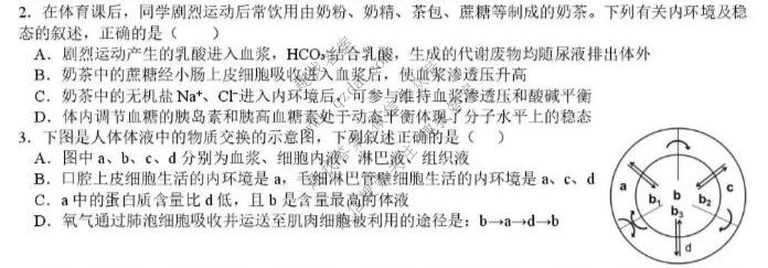 四川省树德中学高2025级高二上学期10月阶段性测试生物试题