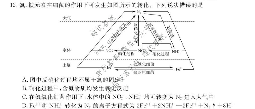 湖南省2026年下学期高三10月校内检测化学试题