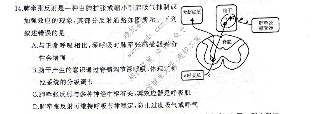 湖南省2026年下学期高二10月校内检测生物试题