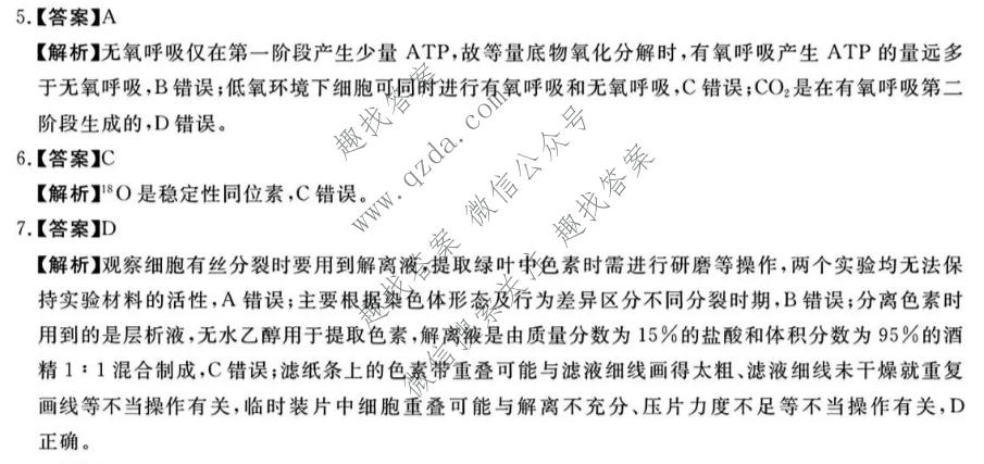 华师联盟 河南省2026-2027学年高三10月质量检测生物B答案
