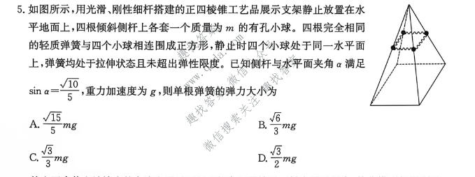 河北省沧州市多校2027届高三质量检测物理试题