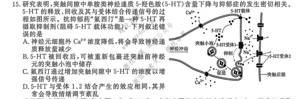 点石联考 辽宁省2026-2027学年高二年级上学期巩固训练生物试题