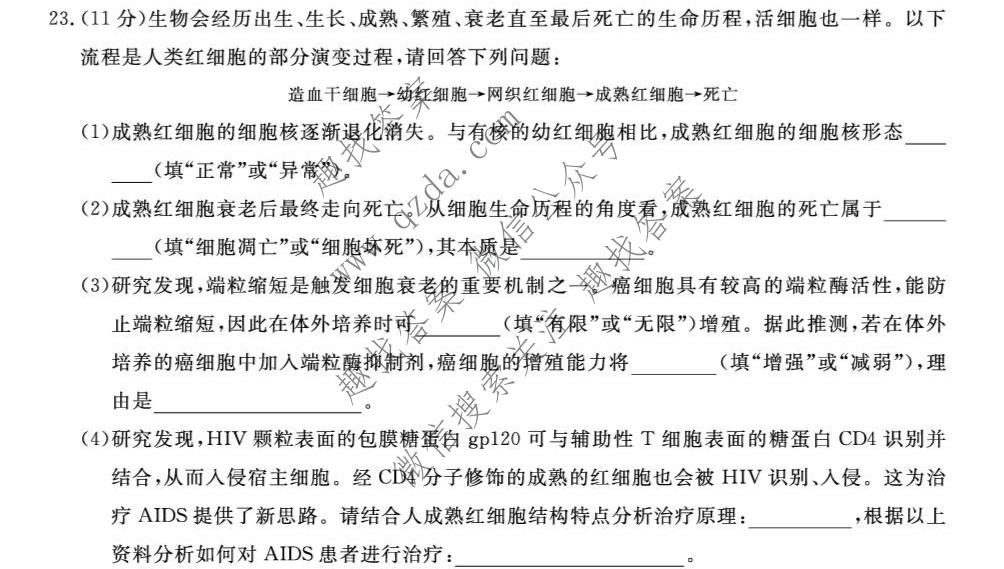 辽宁名校联盟2026-2027学年高三上学期10月联考生物试题