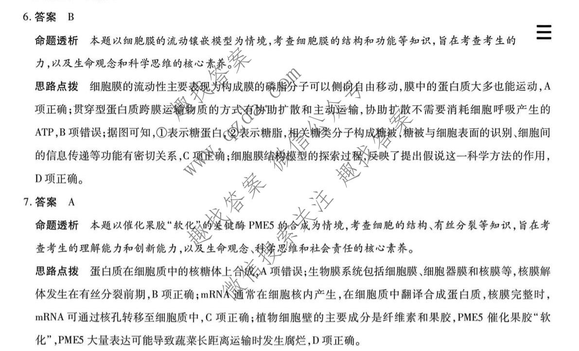天一大联考 安徽省2026-2027学年高三10月联考生物1卷答案