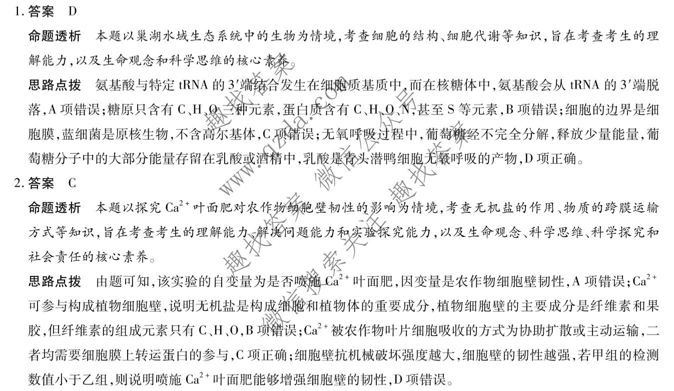 天一大联考 安徽省2026-2027学年高三10月联考生物2卷答案