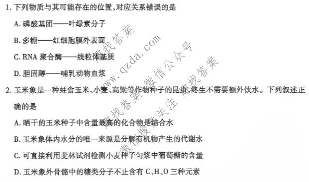 天一大联考 河南省2026-2027学年高三10月联考(HN2026010)生物试题
